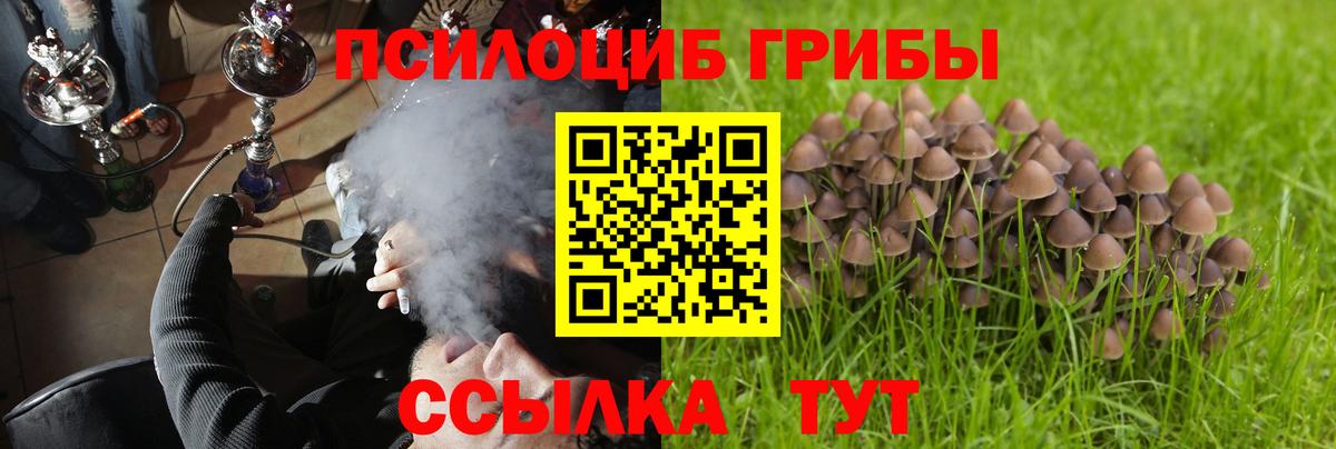 Великий Устюг  Галлюциногенные грибы Magic Shrooms  Вход с VPN  Галлюциногенные грибы Magic Shrooms 